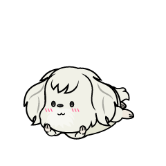 じっと見る小ちゃな白いマルチーズ