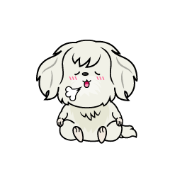 リラックスする小ちゃな白いマルチーズ