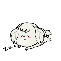 眠る小ちゃな白いマルチーズ