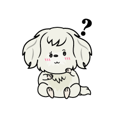 考える小ちゃな白いマルチーズ