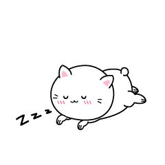 眠る白ネコ