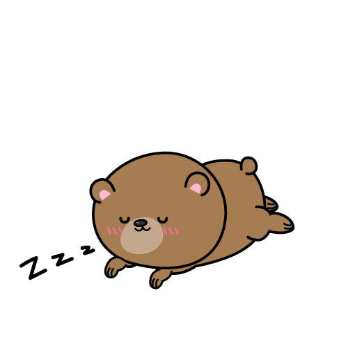 眠る小グマ