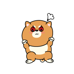 熱意のある小ちゃな柴犬