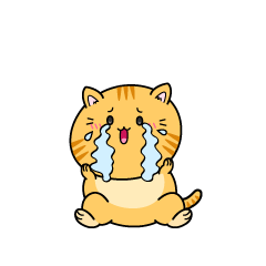 大泣きする小ちゃな茶トラ猫