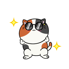 かっこいい小ちゃな三毛猫