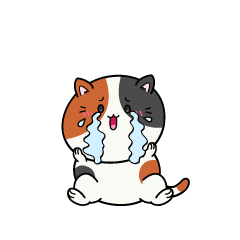 大泣きする小ちゃな三毛猫