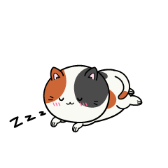 眠る小ちゃな三毛猫