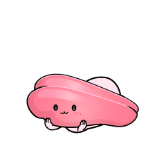 じっと見る小ちゃなたらこ