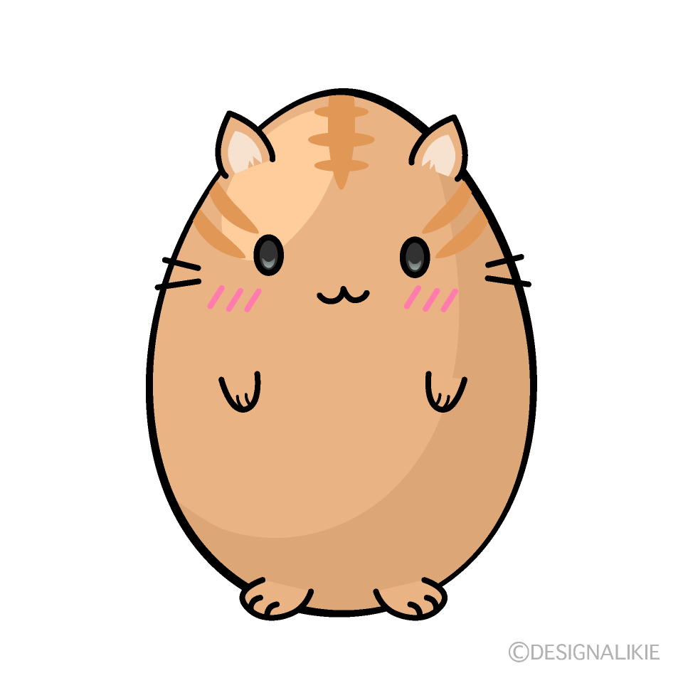 Egg Cat Character