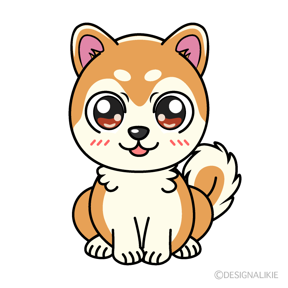 Shiba Dog Character